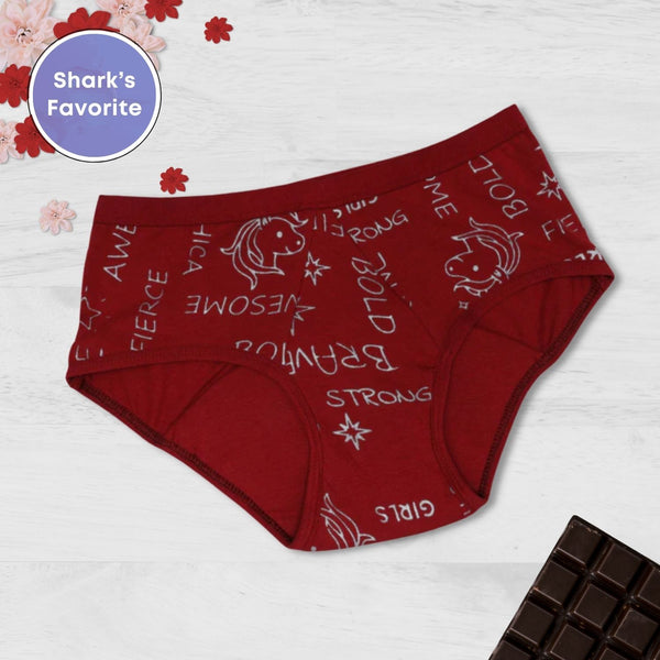 FabPad Period Panties for Women  Hipster Leak Proof Panty for